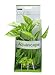 Fluval Marbled Anubias Plant for Aquarium, 9.5-Inch