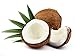 Organic Coconut Sugar – Non GMO, Low Glycemic Sweetener – 16oz