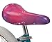 Shimmer & Shine Girl's Bicycle, 12