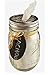 Mason Jar with Frog Lid Insert Regular Mouth 16 Oz Bundle (clear jar silver band)