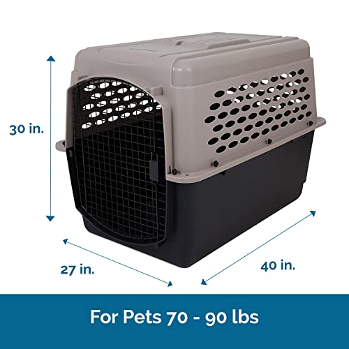 Petmate Vari Dog Kennel, Portable Dog Crate for Large Dogs, Great for