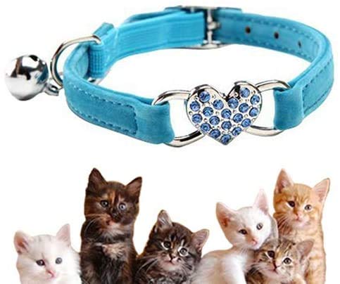 Lovely Kitten Collar, Cat Collar with Bell and Elastic Strap (Blue)