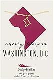 Lucky Feather District of Columbia Shaped State