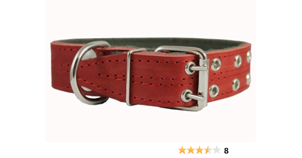 ysl dog collar