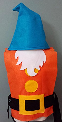 image for Teatots Party Planning Set of 7: Adult / Big Kid Seven Dwarf Costume S