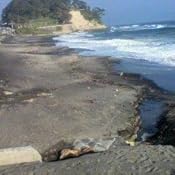 カスタマー画像