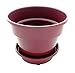 Self Watering + Self Aerating High Drainage Deep Reservoir Round Planter Pot, Maintains Healthy Roots and Moisture, for Indoor & Outdoor & Window Gardens (8 Inch / 1 Gallon, Plum)