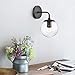 Light Society LS-W264-BK-CL Zeno Black and Clear Glass Globe Wall Sconce, Mid Century Modern Retro Vintage Style