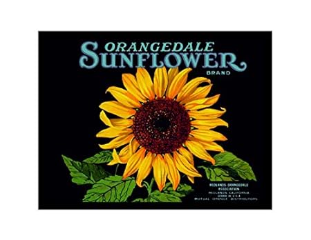 Ecool Imán para Nevera de acrílico Orangedale, Estilo Vintage ...