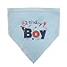 BINGPET Dog Birthday Bandana Pet Scarf Blue