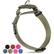 Hyhug Premium Upgraded Durable Nylon Anti-Escape Martingale Dog Collar for Medium Boy and Girl Dogs Comfy and Safe - Walking, Professional Training, Daily Use. (Medium, Military Green)