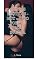 Livro CONTOS ERÓTICOS -HOT – SEXO FORTE – BDSM - SURUBA (Eróticos demais)