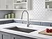 Pfister F529FCYS Clarify Xtract Pull Down Kitchen Faucet with Integrated GE Filtration System, Stainless Steel