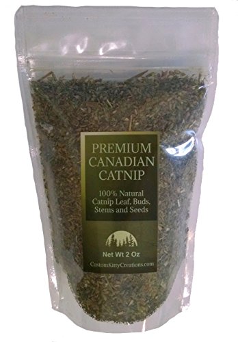 Catnip 2 oz / Fresh Premium Canadian Catnip (3 Cups)