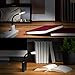 RunningSnail USB Reading Lamp, Flexible Mini LED Light with Touch Switch for Laptop, Desktop, Power Bank, 2 Pack (Black)