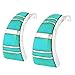 Sterling Silver Earrings with Genuine Turquoise