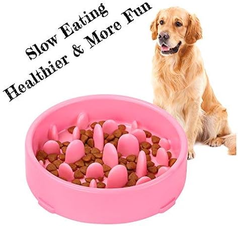 amazon slow dog feeder