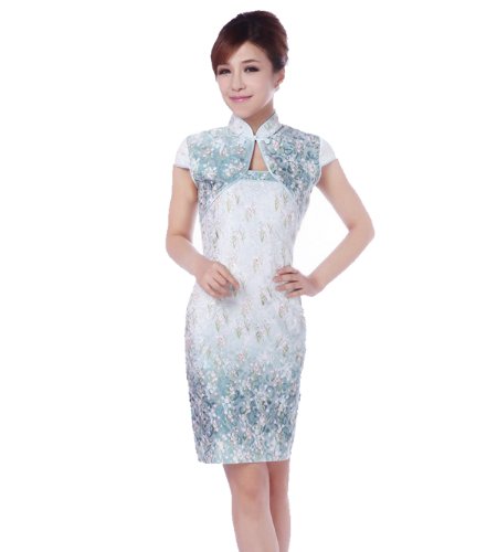 JTC Women's Chinese Royal Cheongsam Short Party Dress Qipao