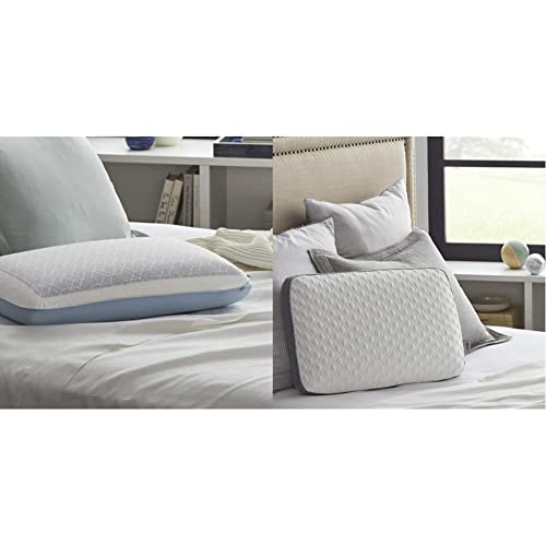 Sealy DuoChill Cooling Memory Foam Pillow, Standard (Pack of 1), White & Sealy Molded Memory