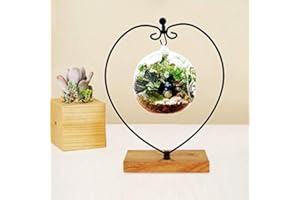 Archi Ornament Display Stand Iron Pothook Stand for Hanging Glass Terrarium/Picture with Wood Base (Heart)