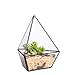 NCYP Small Three Sides Glass Geometric Terrarium for Succulent Fern Air Plants, Modern Handmade Garden Balcony Display Flower Pot, Home Decor Container (No Plants Included)