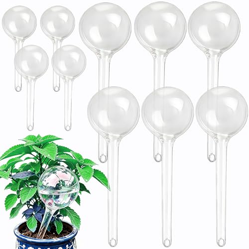 Wellinc Plant Self Watering Globes