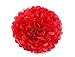 Sopeace 16 pcs Mixed Red Black White Party Decor Kit Paper lantern Paper Star Garland Tissue Pom Poms Hanging Flower Ball for Wedding,Birthday,Baby,Bridal Shower,Room decor &Themed Party Decor Favor