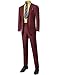 SBW Men's Men's Regular Fit Dress Shirt & 2PCS Suit