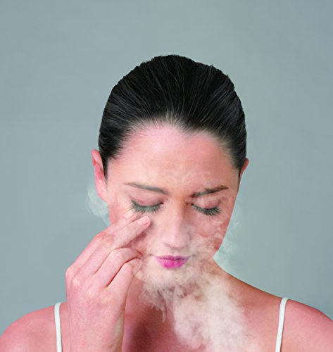 Panasonic Nanoe Nano Care EH-SA60-P Pink Ion 2 Way Steamer (Japan Import)