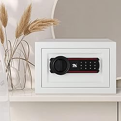 TIGERKING Digital Keypad Safe Box, Small Safe Money