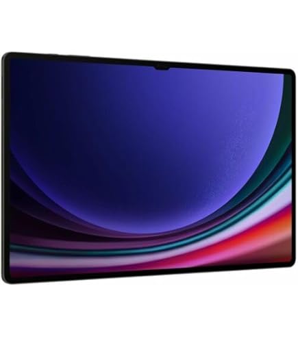 Amazon.com : Galaxy Tab S9 Ultra WiFi Gray : Electronics