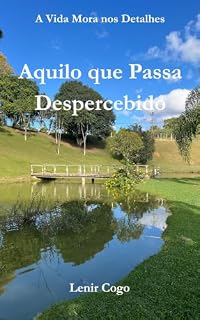 Livro Aquilo que Passa Despercebido (A Vida Mora nos Detalhes Livro 1)