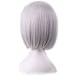 ANESHE Short Straight Hair Wig 12 Inches Anime Cosplay Costume Party Wigs (Silver Gray)