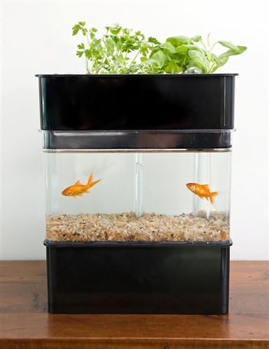 Aquaponicals (Black)