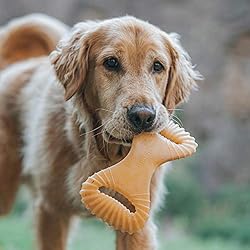 Benebone Dental Durable Dog Chew Toy for Aggressive