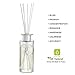 Creative Scents White Cashmere Essential Oil Reed Diffuser Sticks in Gift Box, Aromatherapy-Grade Oils Blend, Natural Scented Diffusing Kit, Non-Toxic Home Spa Fragrance Diffuser Set, 150 ML/5 Oz.