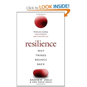 Resilience: Why Things Bounce Back