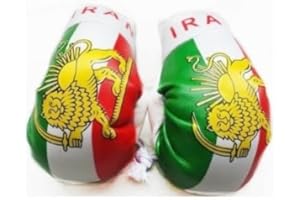 Mini Boxing Gloves with Flag Design – Stylish Hanging Car Mirror Accessory for Interior Décor.