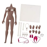 Flameer 1/6 Scale Female Seamless Body Large Bust Stainless Steel Figure Doll Gift New Wheat Skin