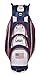 Hot-Z Golf Flag Cart Bag