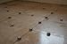 Brunoplast Nivifix tile leveling system 250 pcs. T spacers for 4.0 mm / 0.15 inch joint width (Paving System, Tile Laying, Tile Installation)