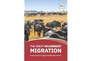The Great Wildebeest Migration: Exploring Africa’s biggest wildlife phenomenon