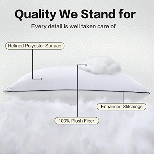 EASELAND Pillows Queen Size Set of 2, Plush Down Alternative Pillows