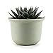 T4U 5.75 Inch Plastic Round Plant Pot/Cactus Flower Pot/Container Grey Set of 8,Seeding Nursery Planter Pot with Drainage for Flowers Herbs African Violets Succulents Orchid Cactus Indoor Outdoor