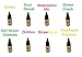 8 Pack of 15ml Bottles Terpene Infused Liquidizer 99% Pure Colorado Terpenes Strain Profiles