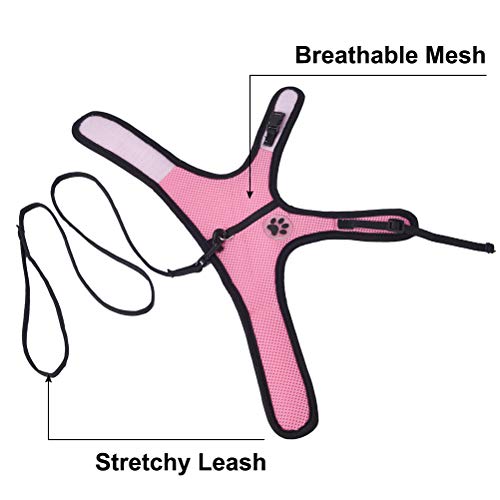 3 EXPAWLORER+Rabbit+Harness+Stretchy+Leash