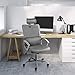 Ergonomic Office Chair Adjustable Headrest Mesh Office Chair Office Desk Chair Computer Task Chair (Light Gray)