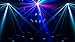 CHAUVET DJ KINTAFX Laser/Strobe/LED Derby Party Light Effect