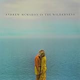 ANDREW MCMAHON IN THE WILDERNESS                   image