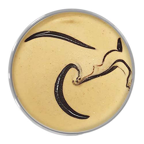 Talenti Sorbetto Peanut Butter Fudge 16 oz